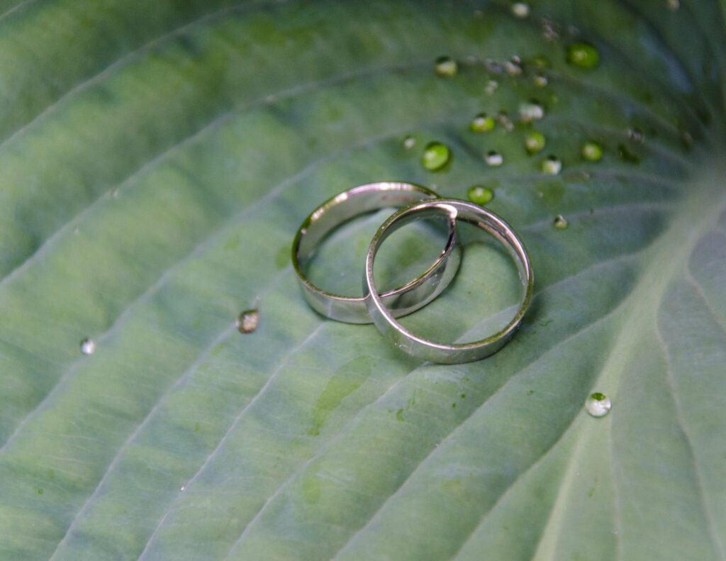 Alliances posées sur une feuille avec des gouttes de pluie, capturant un instant poétique et romantique.